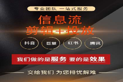 SEO与SEM优化案例：打造行业领先品牌